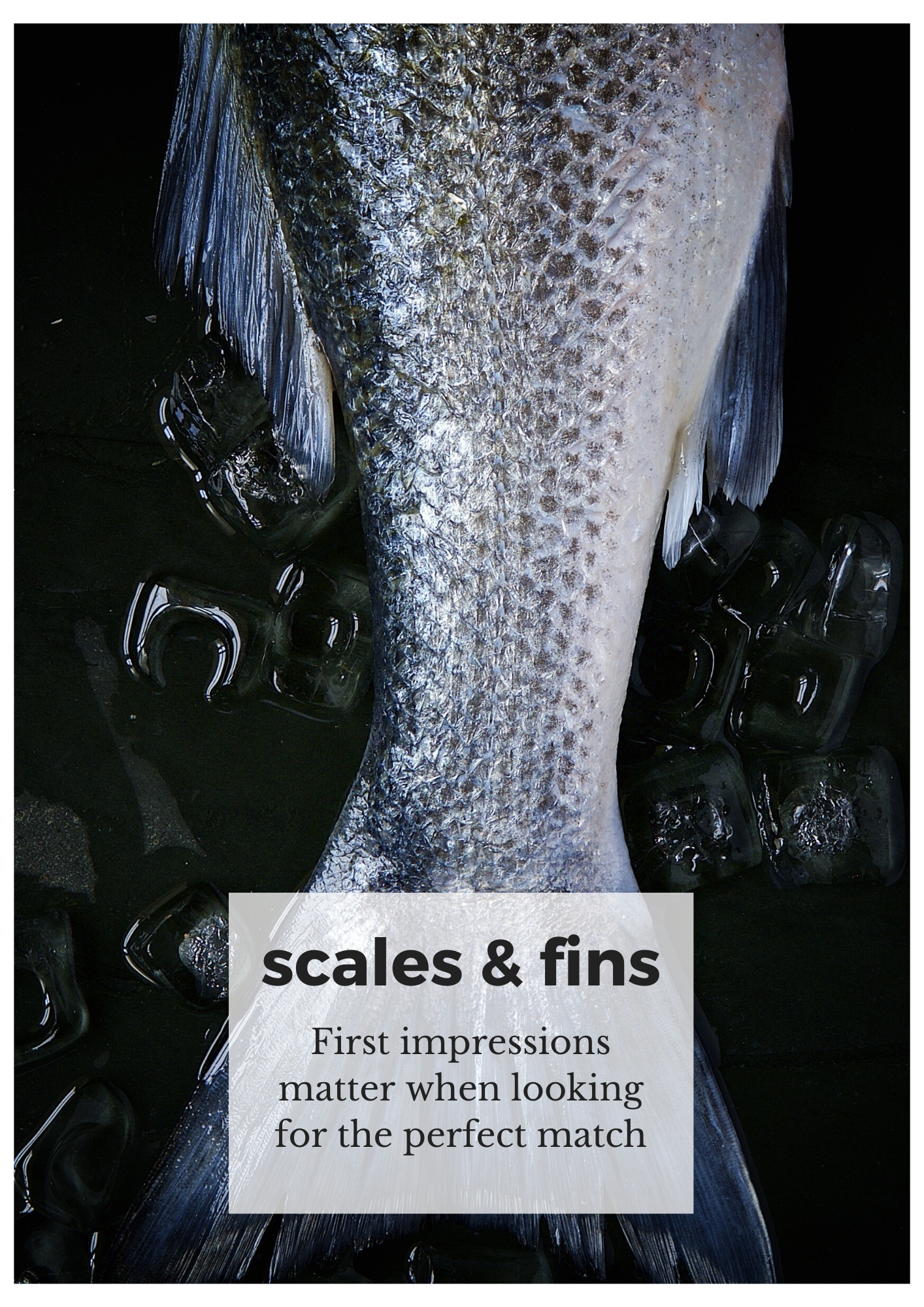Scales & Fins